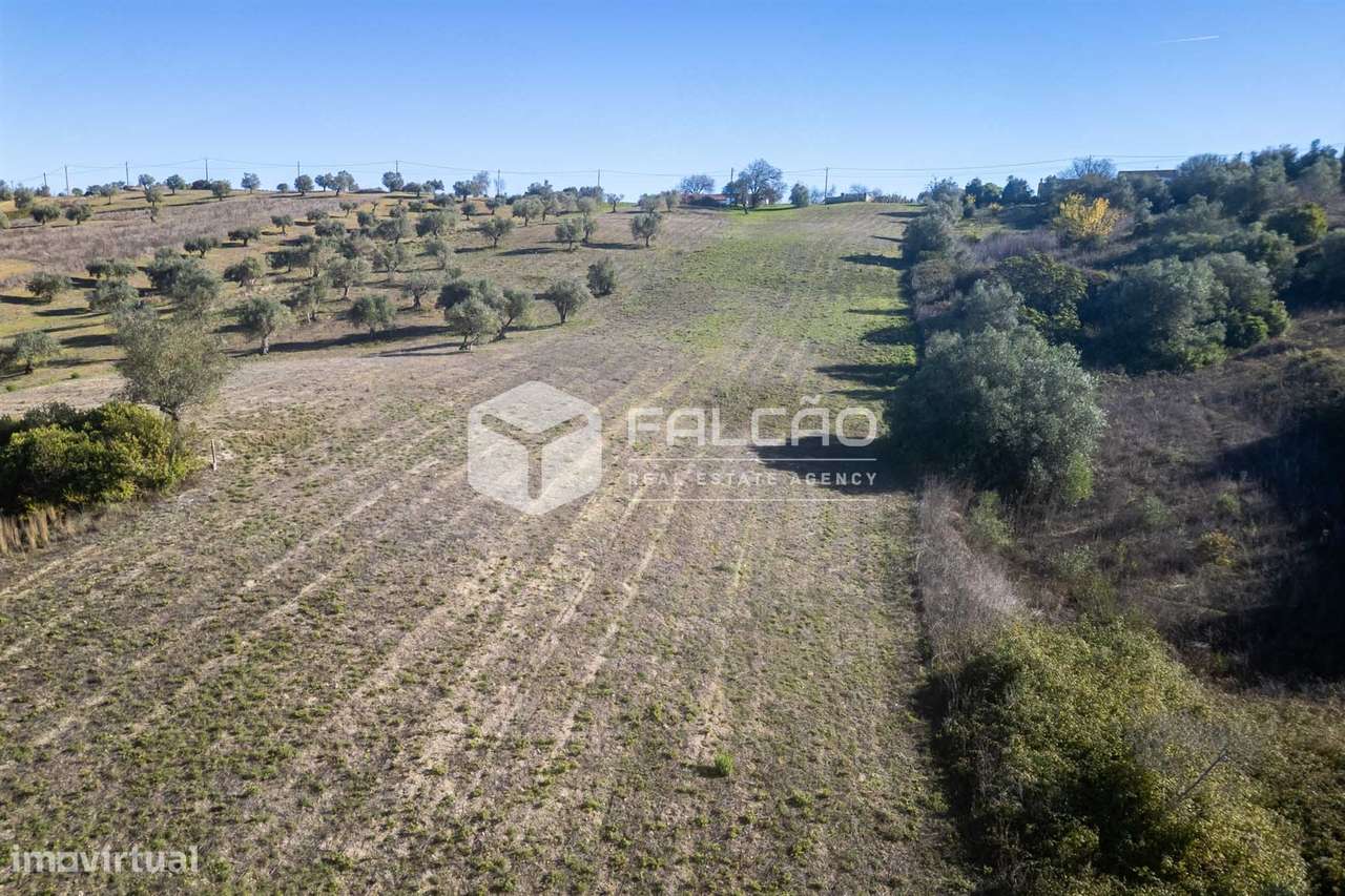 Terreno Para Construção  Venda em Moçarria,Santarém-7