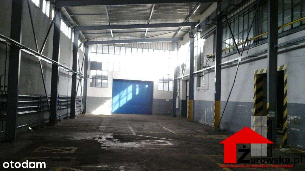 Lokal użytkowy, 6 000 m², Zabrze - Pełny obrazek: 4/16