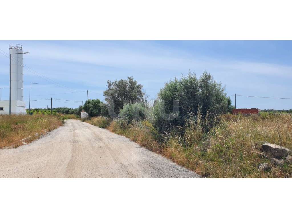 Terreno em Reguengos de Monsaraz-9