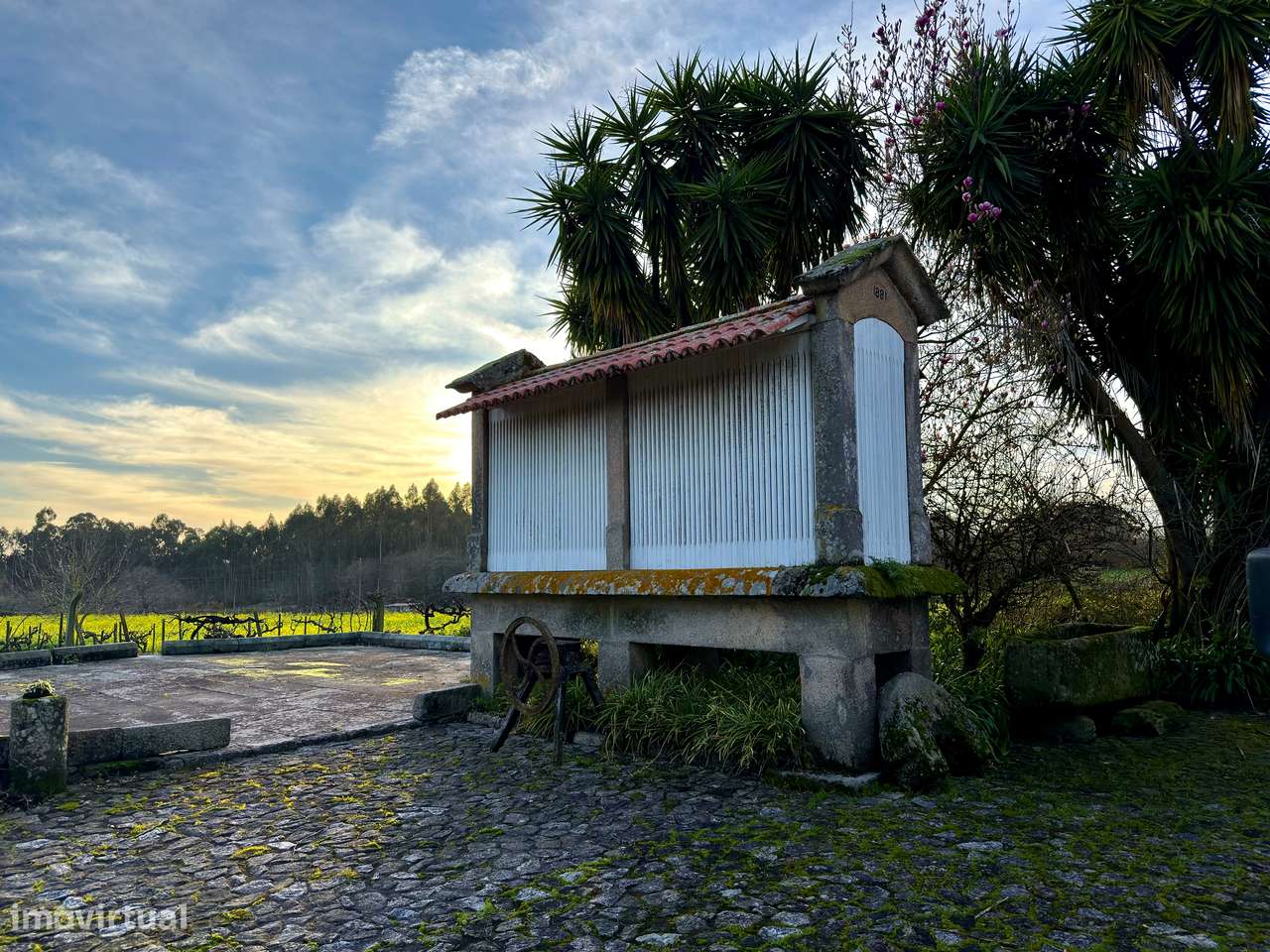 Quinta T5+1 Venda em Cardielos e Serreleis,Viana do Castelo-27