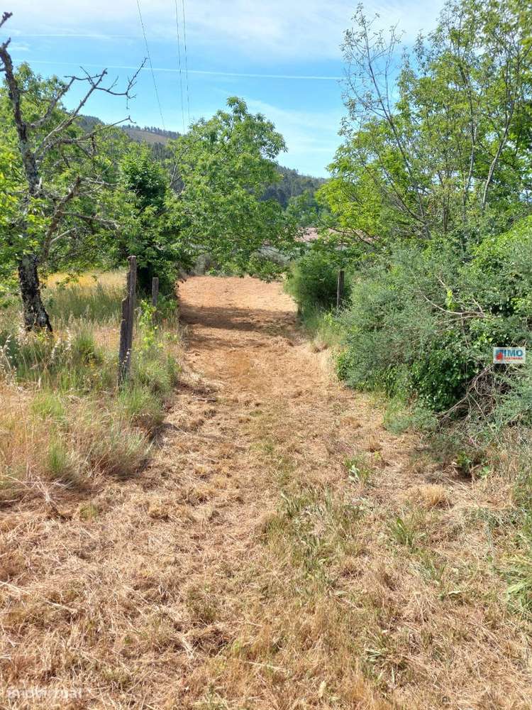 Terreno - Taliscas - Paul - Grande imagem: 4/7