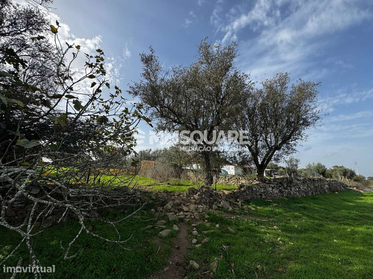 Quintinha T3 Venda em Ourique,Ourique-27