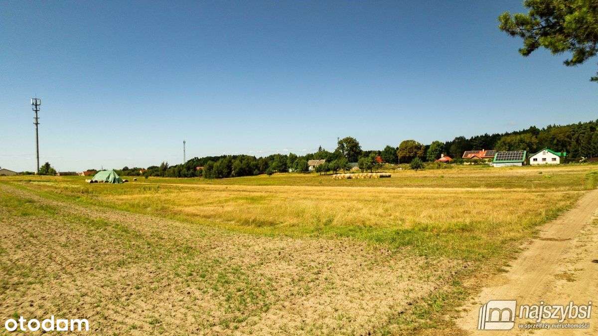 Racimierz- działka w pobliżu lasu. - Pełny obrazek: 4/20