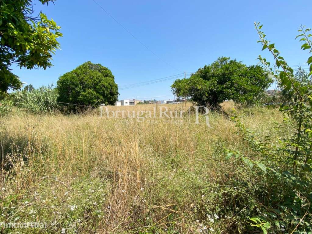 Terreno para Construção - Grande imagem: 2/22