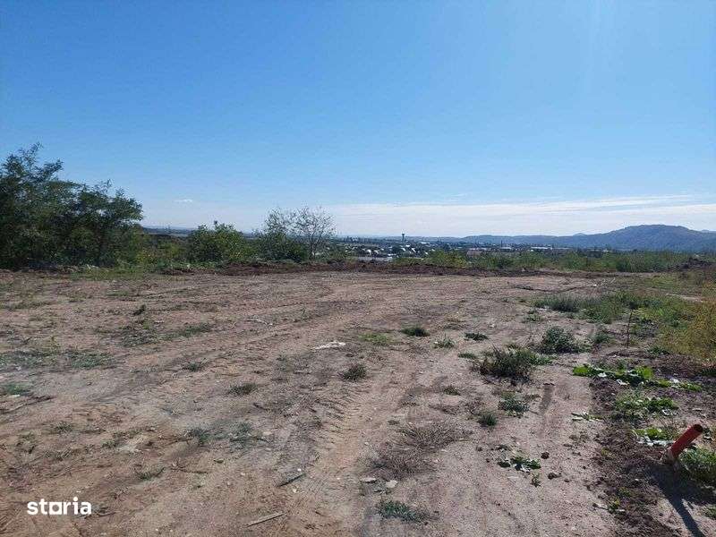 Teren Fermelor, Strada Plantelor - Imagine principală: 5/8