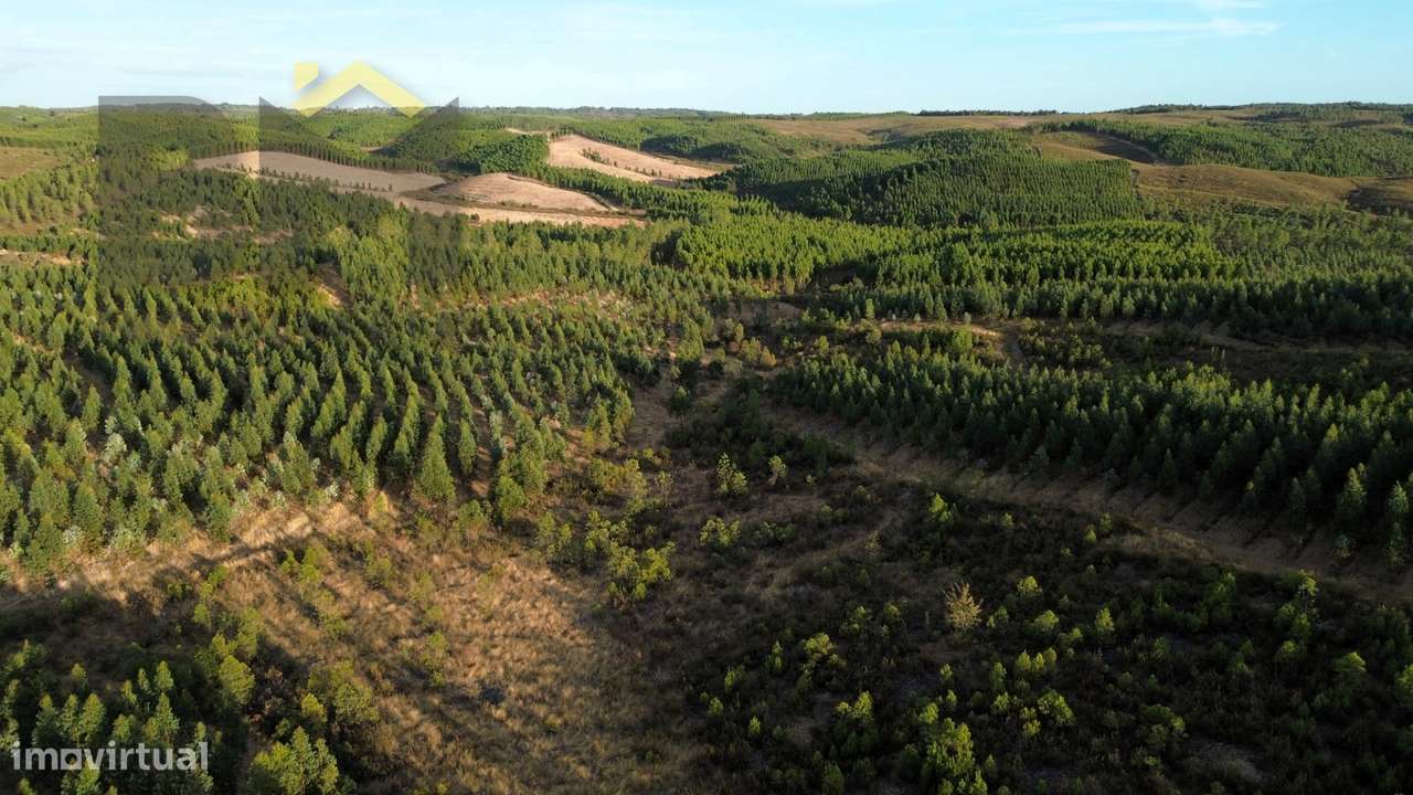 Herdade  Venda em Ninho do Açor e Sobral do Campo,Castelo Branco - Grande imagem: 4/16