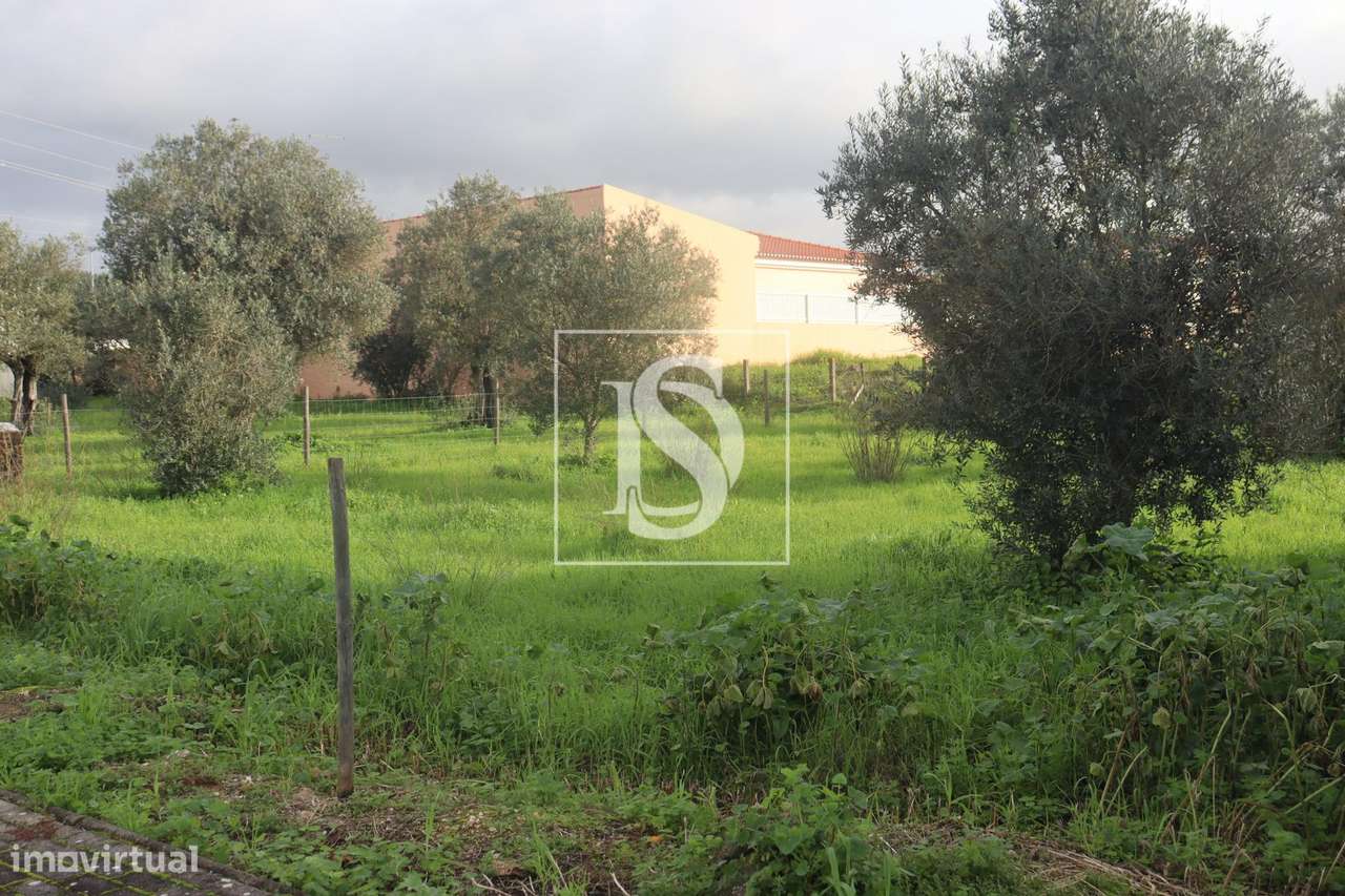 Terreno  Venda em Montalvo,Constância - Grande imagem: 2/7