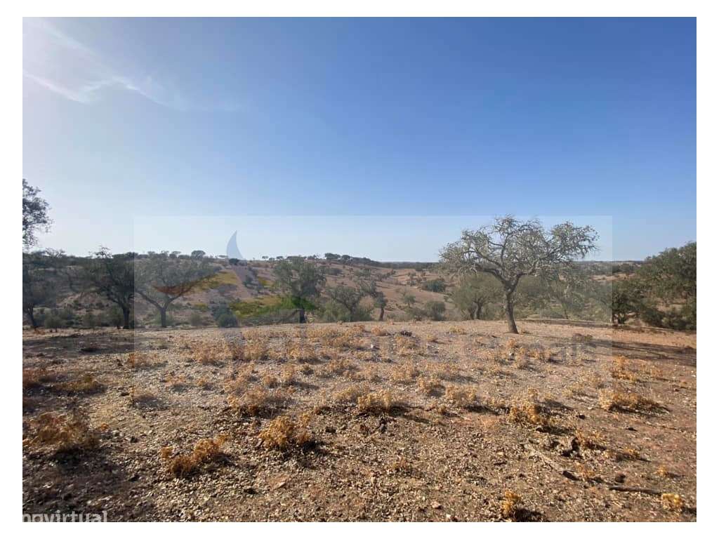 Propriedade de 35 ha - com Monte em Ruínas em Serpa-6