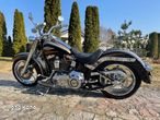Harley-Davidson Softail - 19