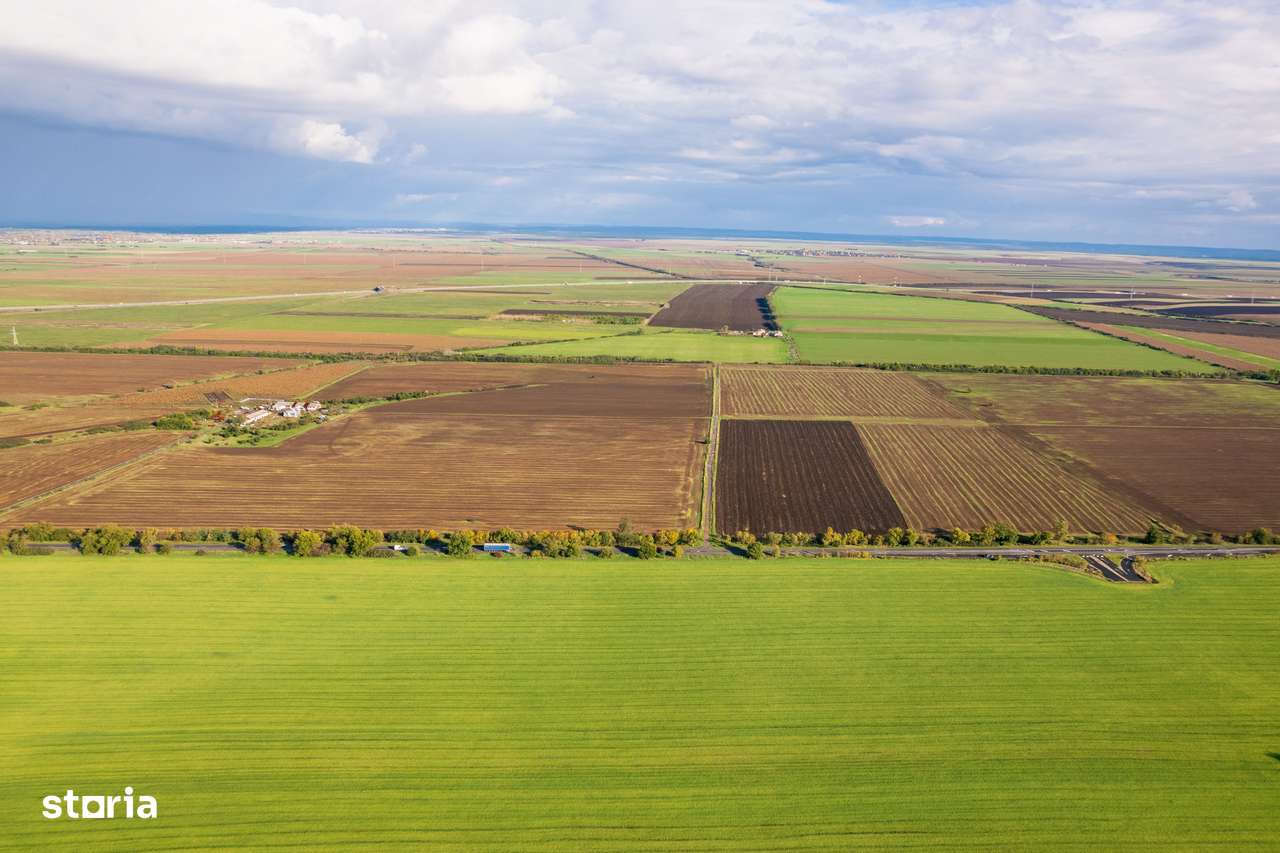 Teren de 100000 mp în Arad - Imagine principală: 3/5