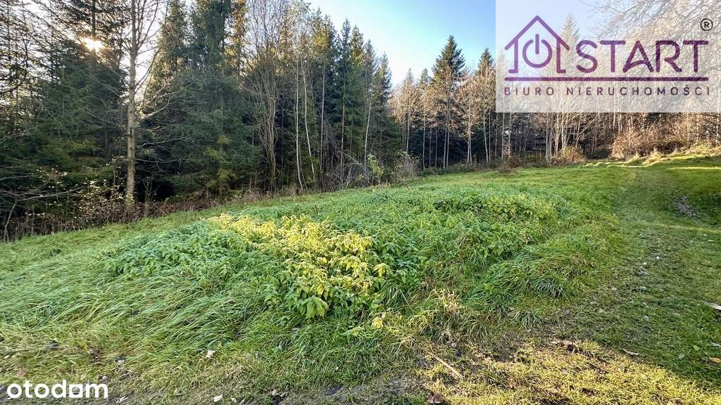 Działka budowlana pod lasem- Rabka-2