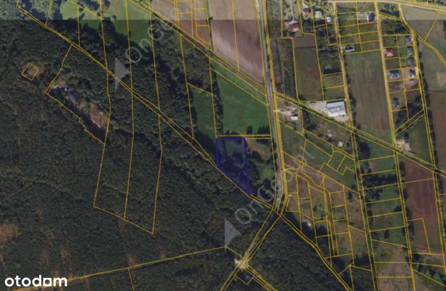 Działka 238/1 w Wielka Nieszawka - Pełny obrazek: 2/2