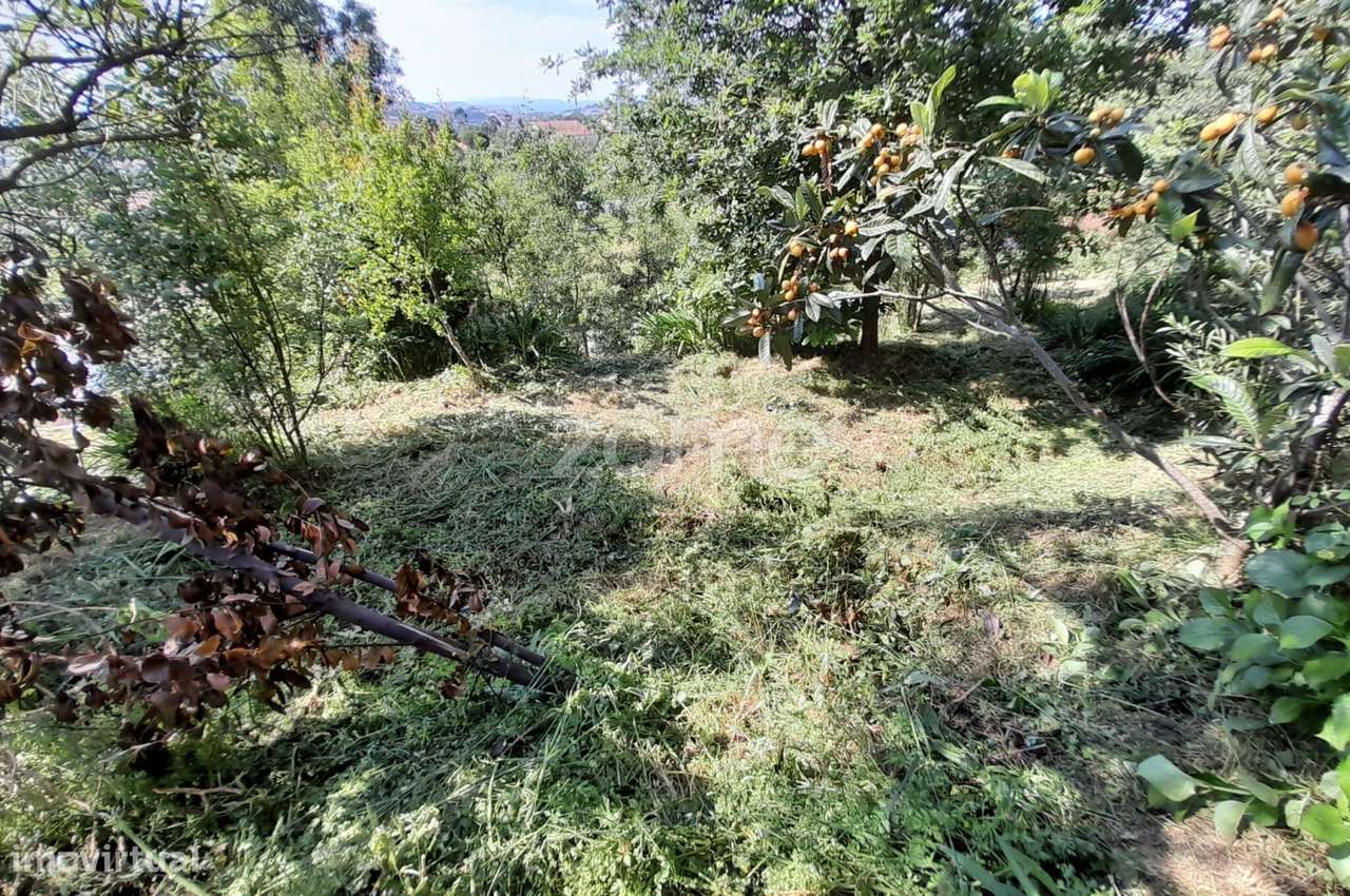 Terreno Urbanizável na Rua do Sá, Esporões-6