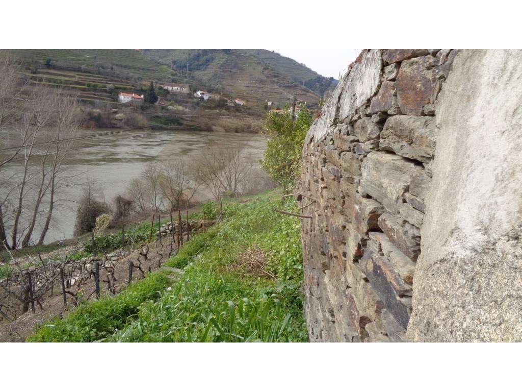 Quintinha - Mesão Frio - Grande imagem: 5/15