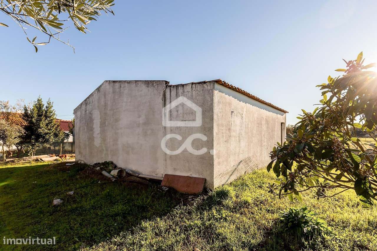 Terreno de  1.350 m² c/ Anexo de Apoio Agrícola | Canaviais, Évora-16