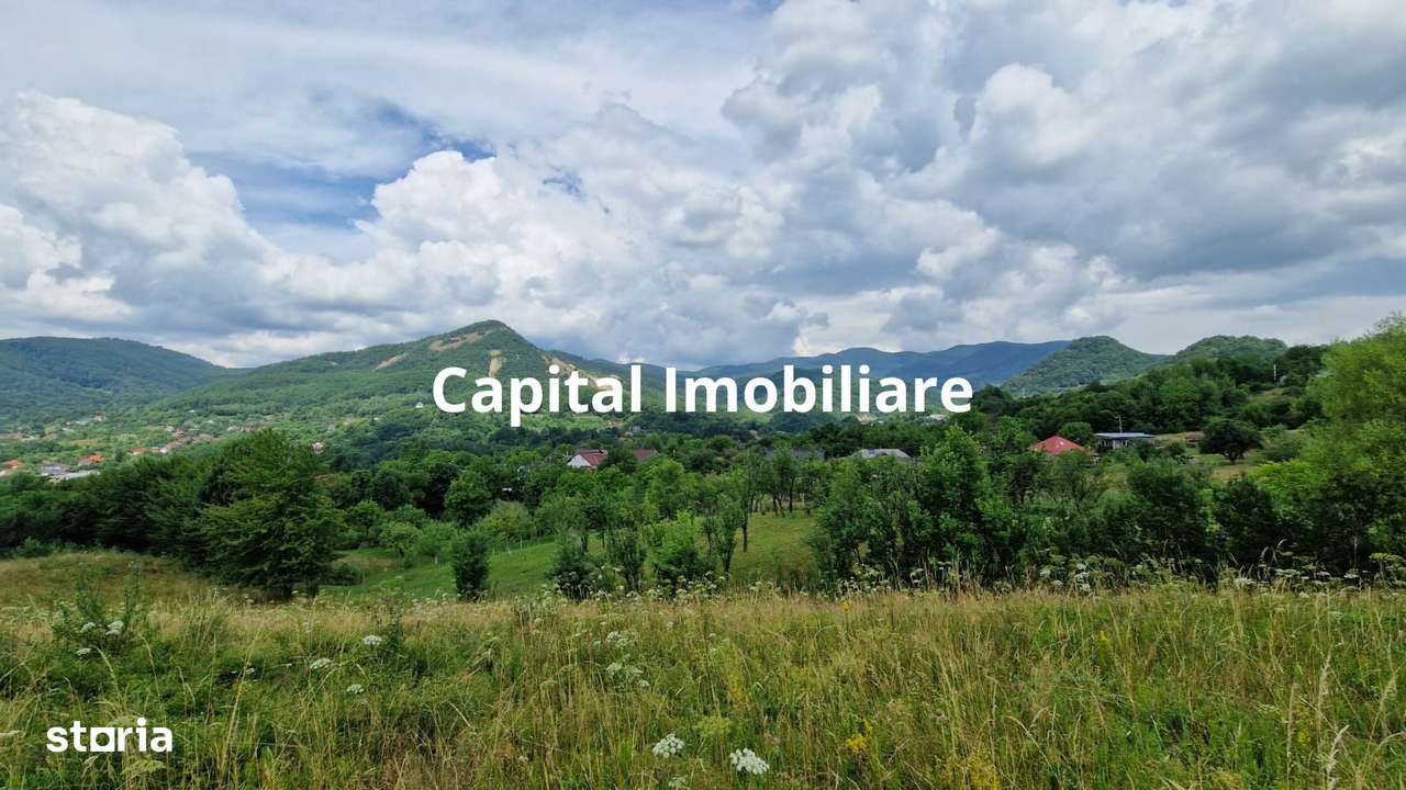 Teren de vanzare in Baia Sprie: 52 Ari, Parcelabil, Comision 0% - Imagine principală: 3/5