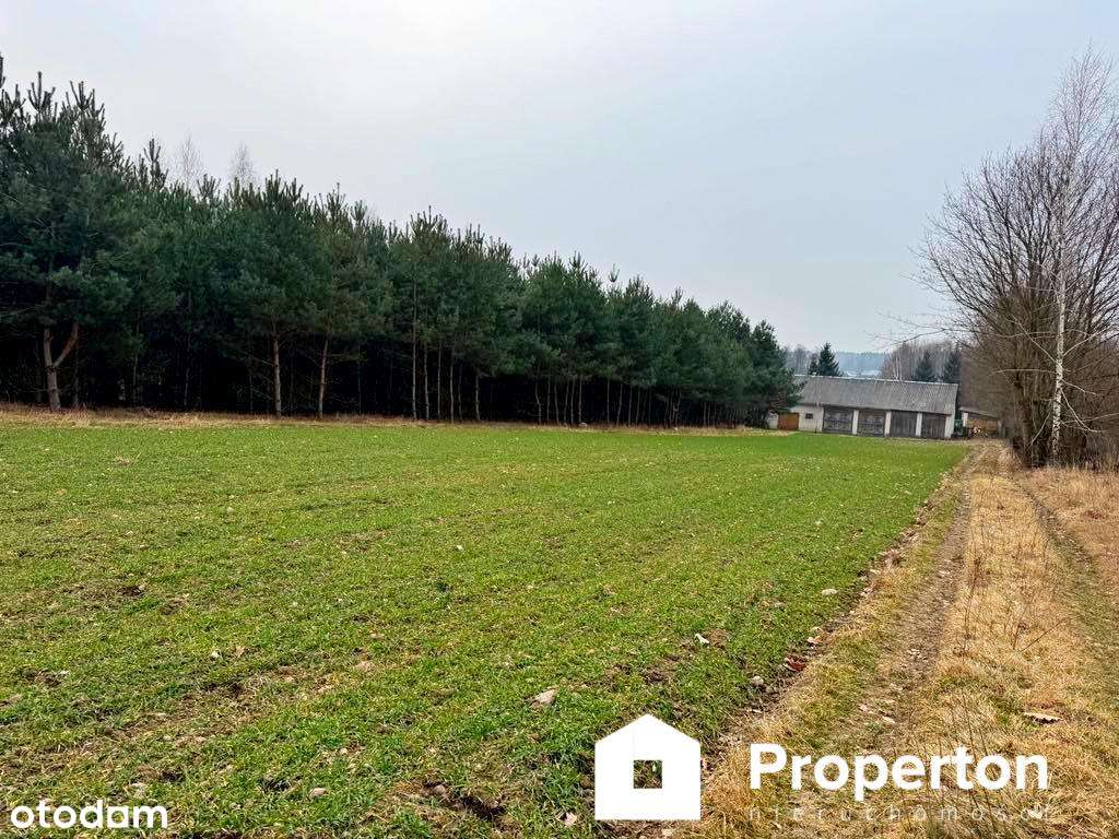 Dom na dużej działce-malownicza okolica Rycza - Pełny obrazek: 5/10