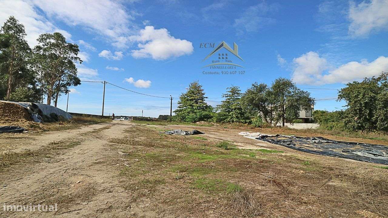 Terreno 20.000m/2 Macieira da Maia-18