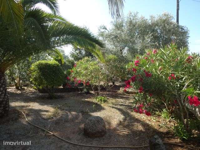 Quinta T/7 Cartaxo-9