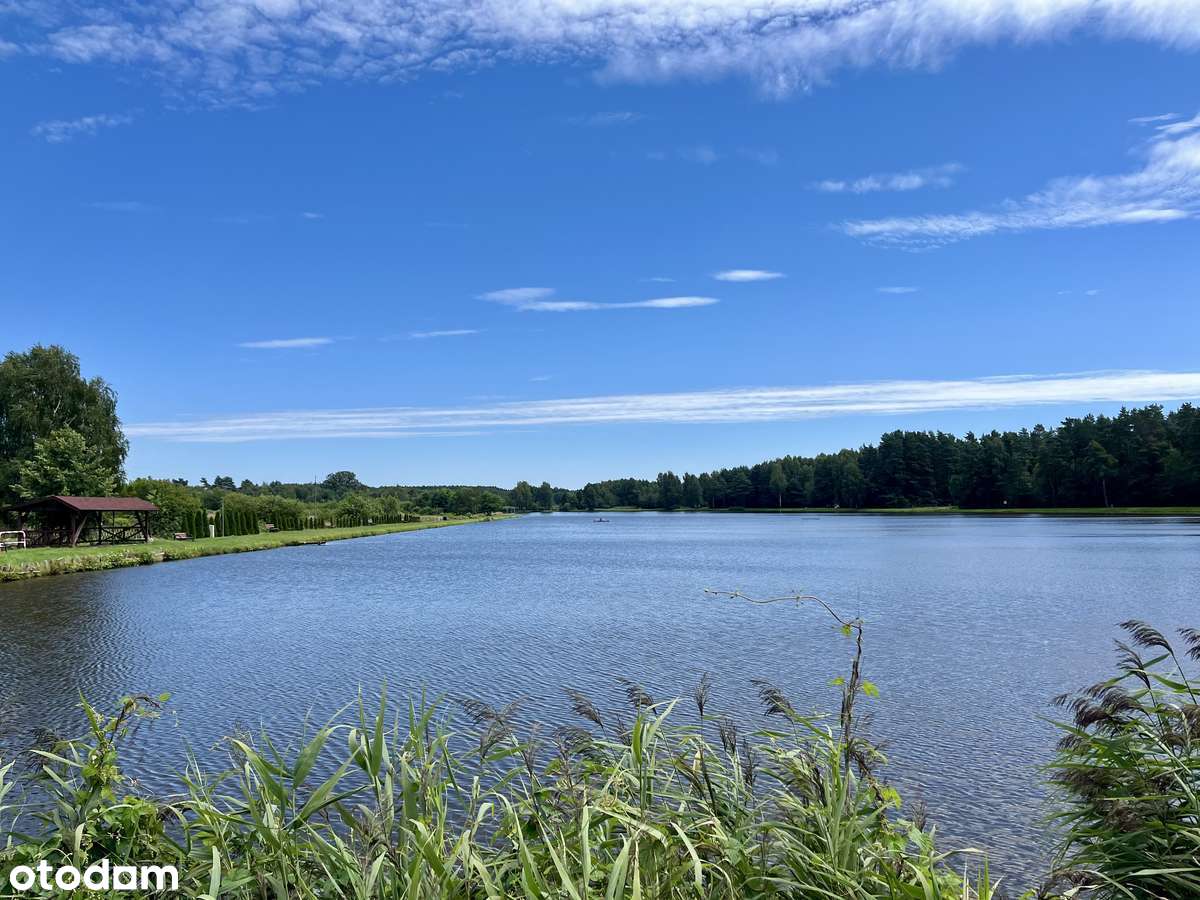 Olszyna - "LEŚNY ZAKĄTEK"-17