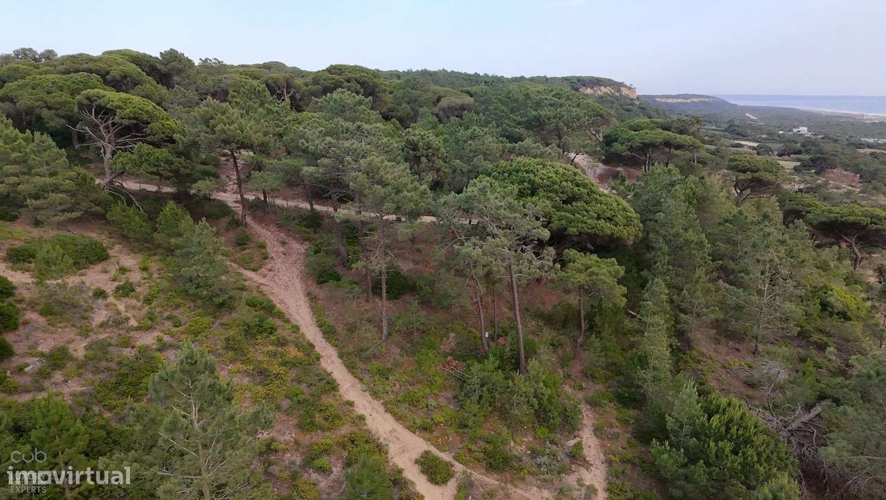 Terreno Rústico com Vista Mar e Potencial Ecológico-18