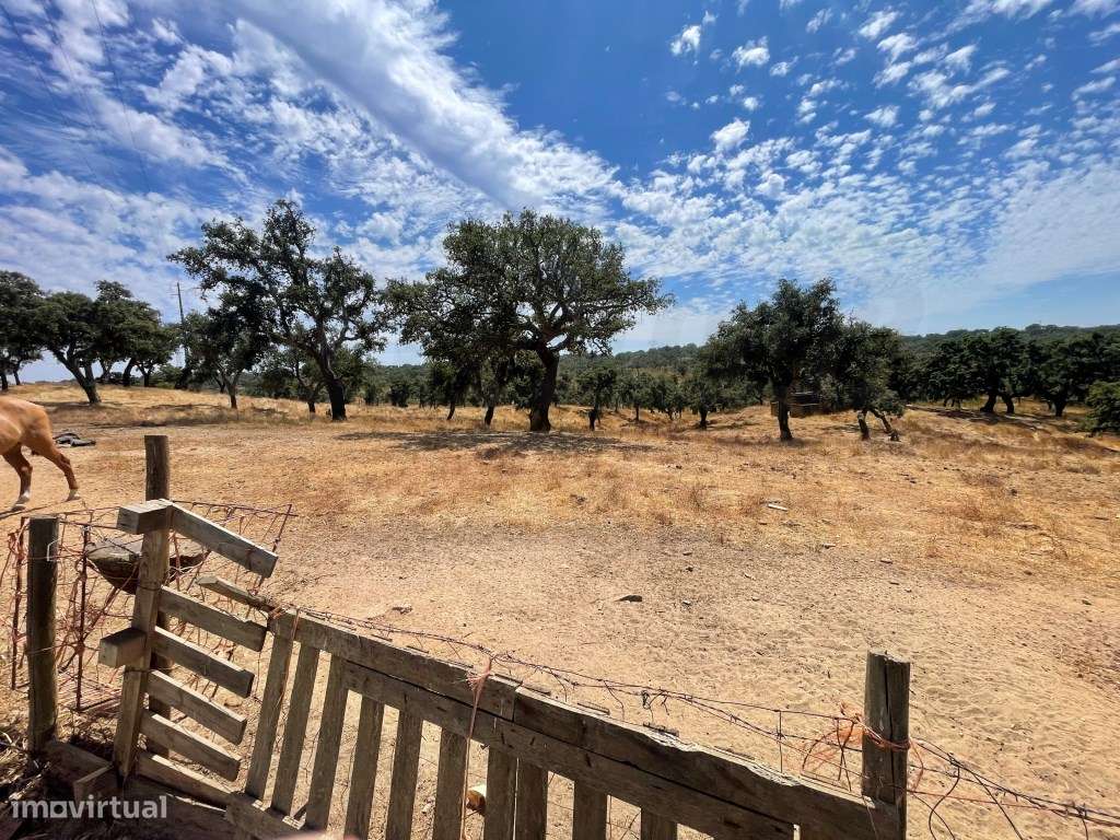 HERDADE COM 100 HECTARES E BASTANTE ARBORIZAÇÃO-44