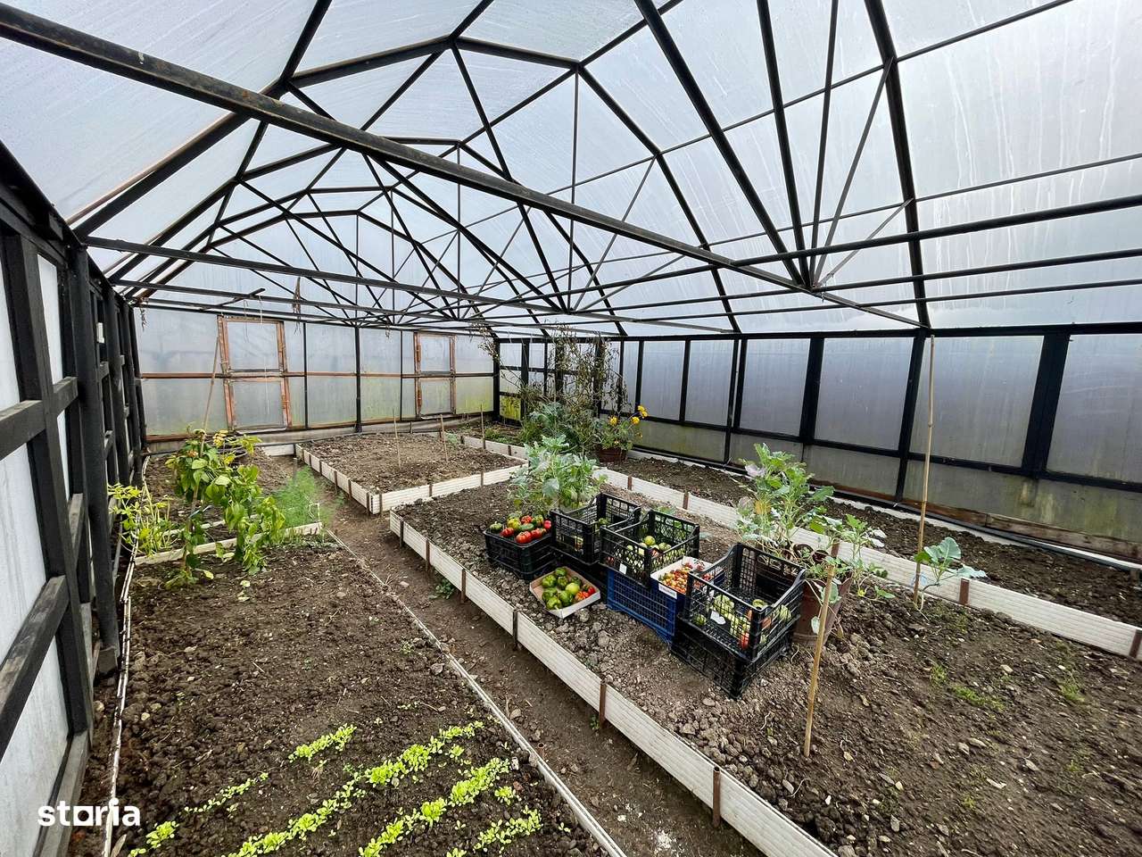 Casa de vanzare Sinca Veche-14