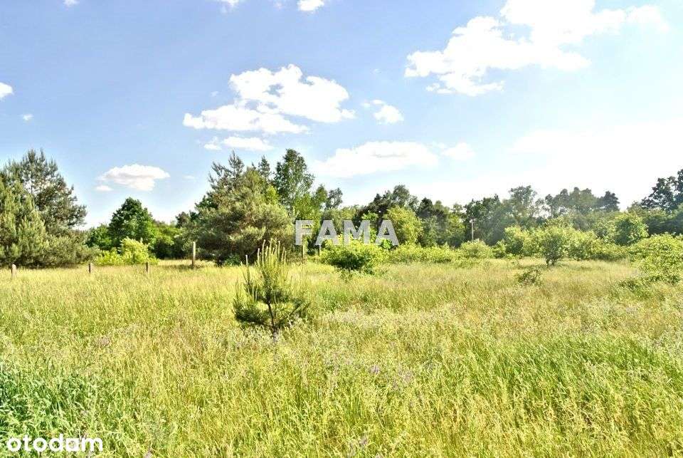 Włocławek Rózinowo, ul. Podmiejska, budowlana - Pełny obrazek: 2/2