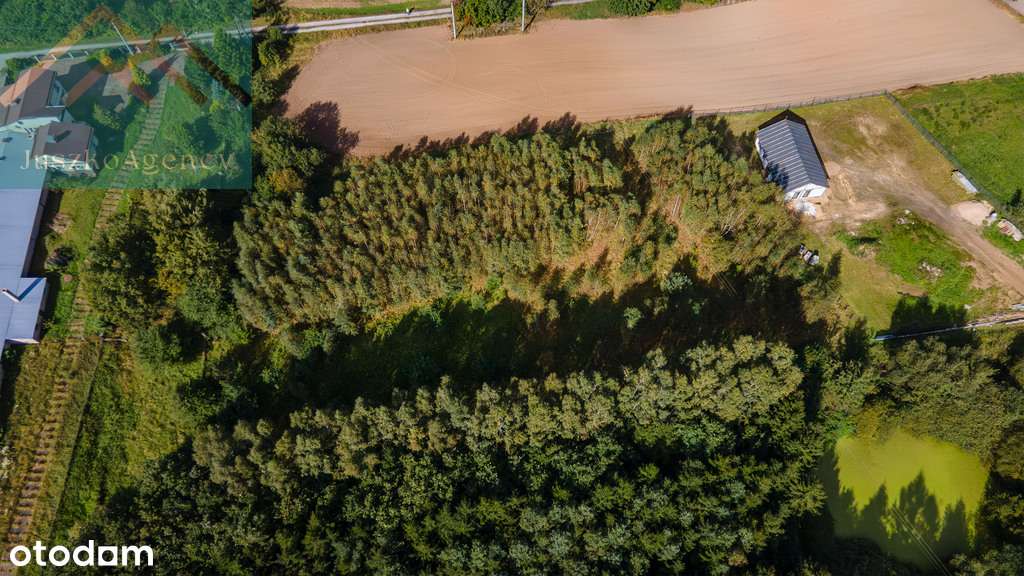 Rychnowo. Działki przy lesie z warunkami zabudowy.-9