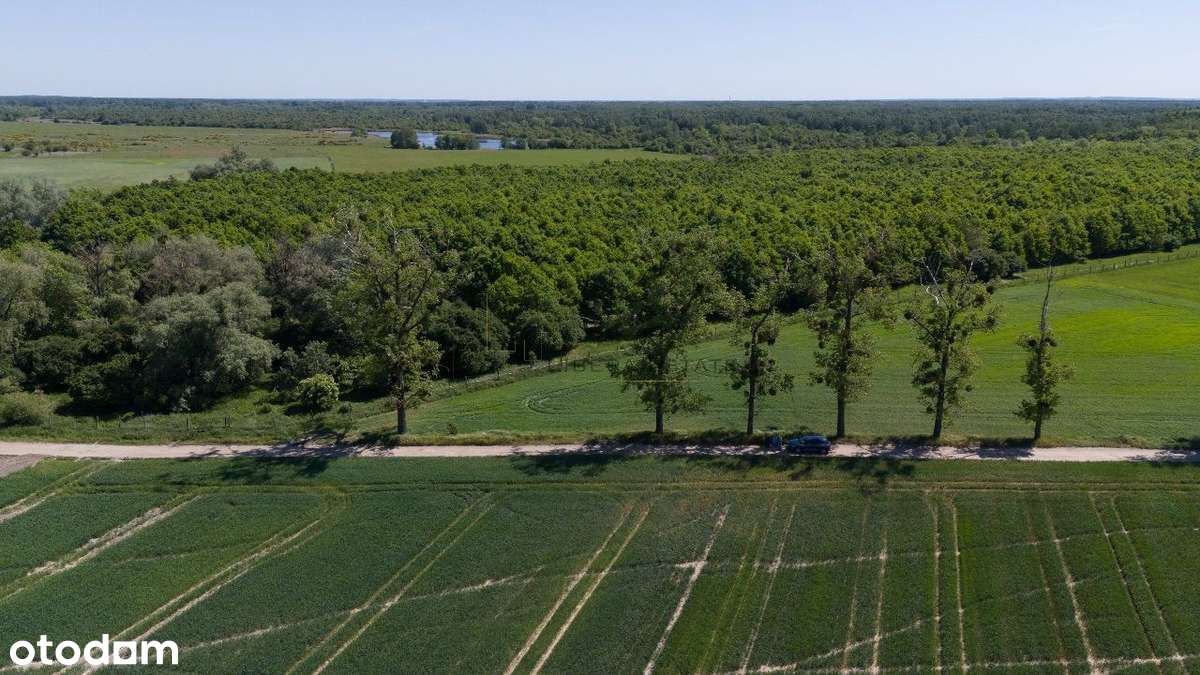 Chludowo, Budowlana, ul. Maniewska. 1200 m2. MPZP - Pełny obrazek: 4/18