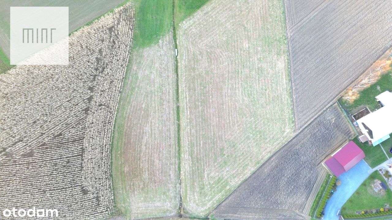 Działki budowlane na sprzedaż z Wz, Niedźwiada - Pełny obrazek: 5/7