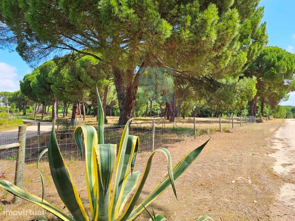 Lote de Terreno de 33.300m2, com lagoa, na Mata do Duque 1, Santo E...-10