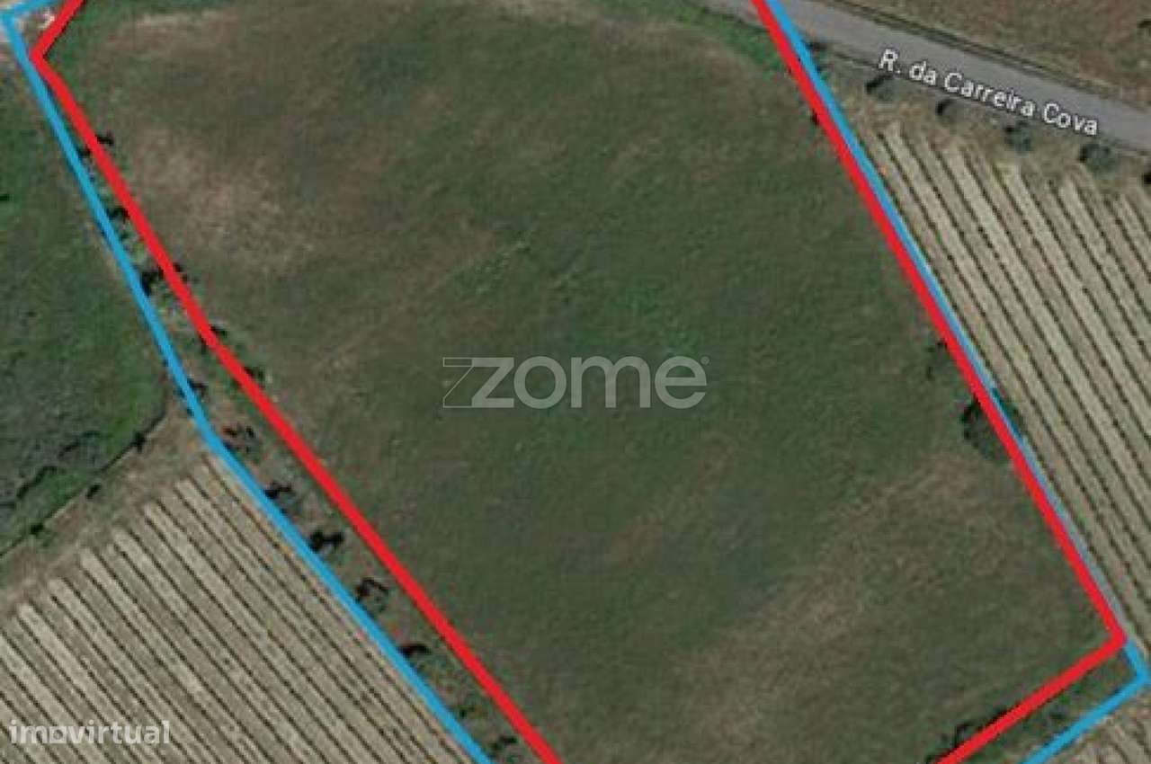 Terreno Rústico em São Paio, Gouveia – Carvalhal - Grande imagem: 2/3