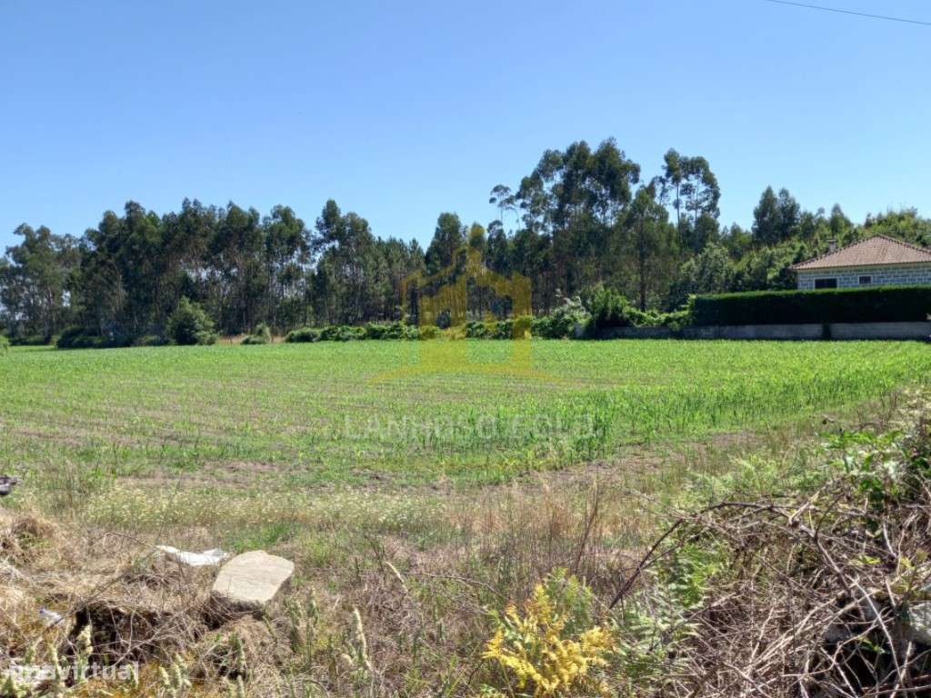 Terreno em Pedralva, Braga - Grande imagem: 3/11