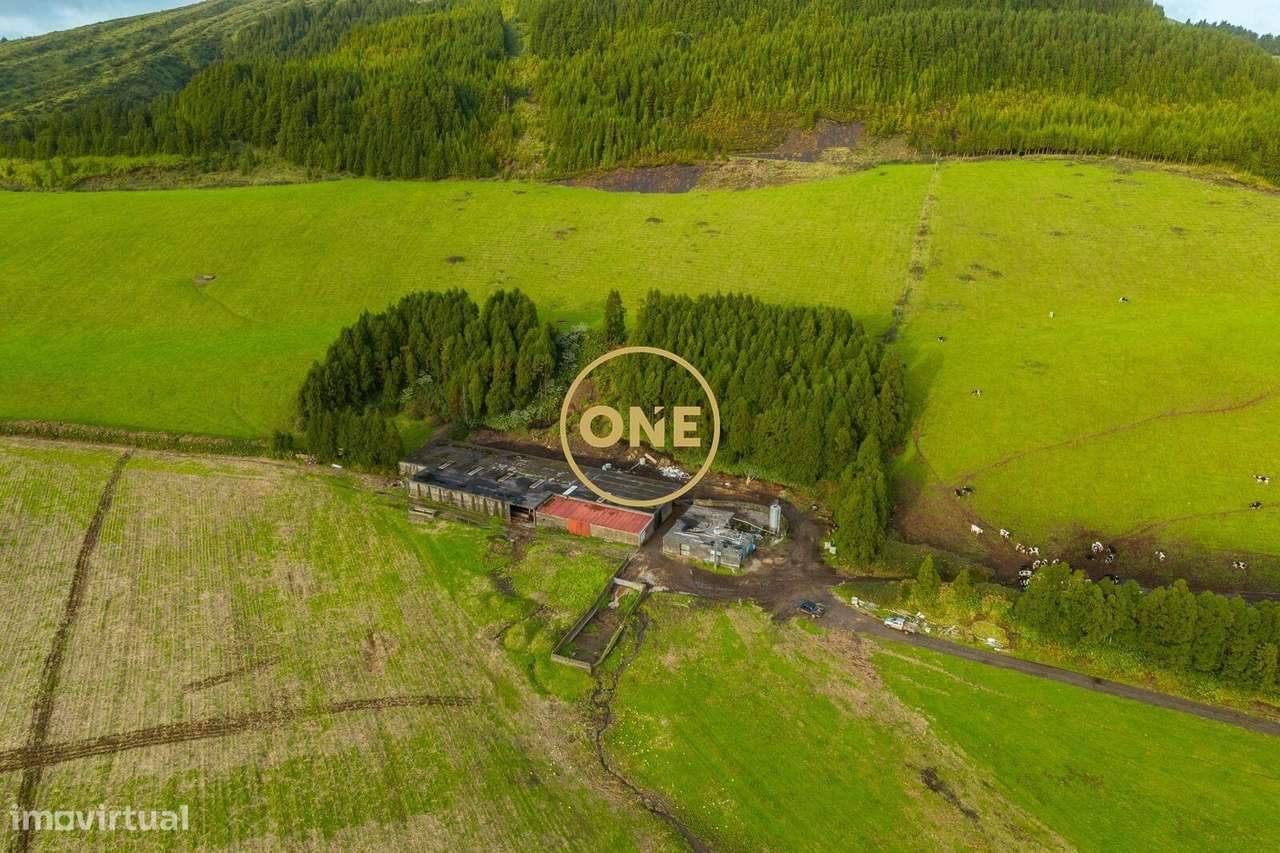 Terreno Premium na Relva - Grande imagem: 5/7