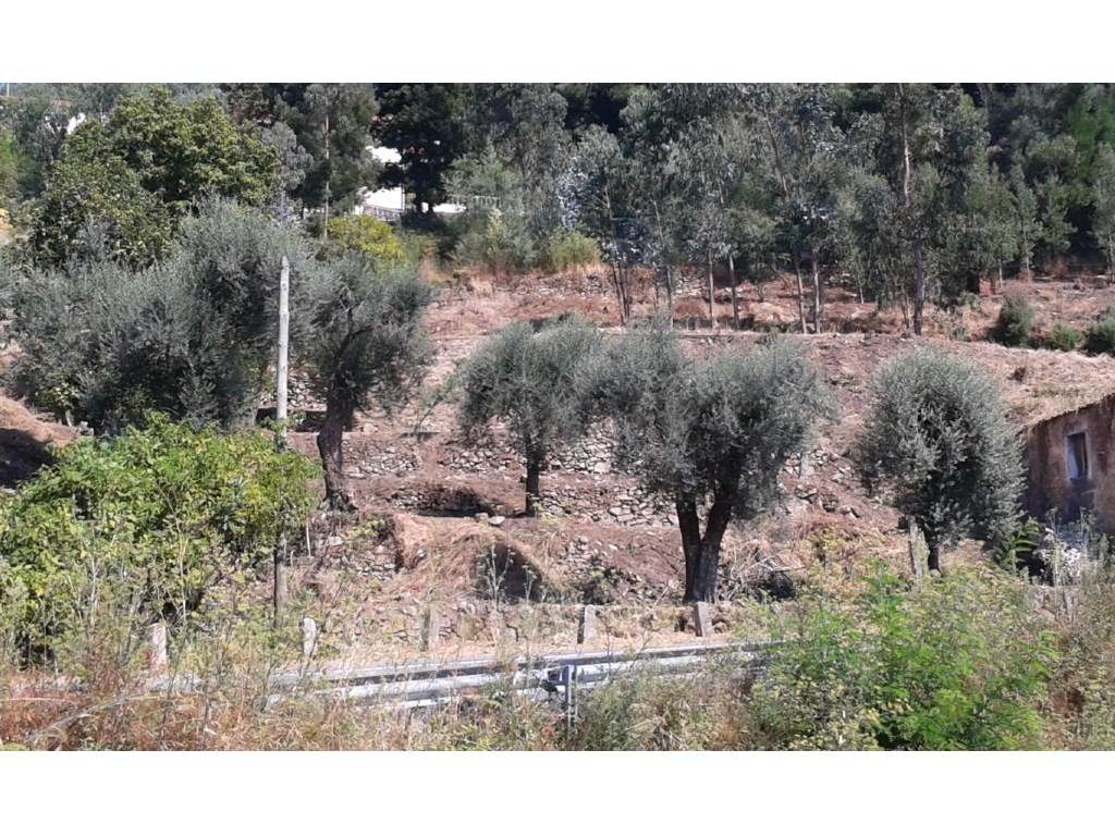 Terreno para construção na Facha - Grande imagem: 2/4