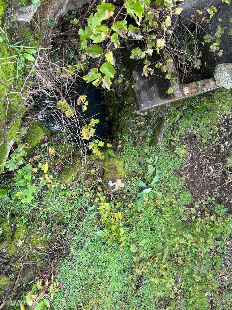 Terreno com 2020 m2, Sobrainho dos Gaios - Grande imagem: 4/18