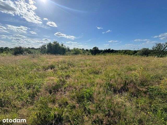 Sprzedam działiki z Pmzp w m.Cetki gm.Rypin - Pełny obrazek: 2/3