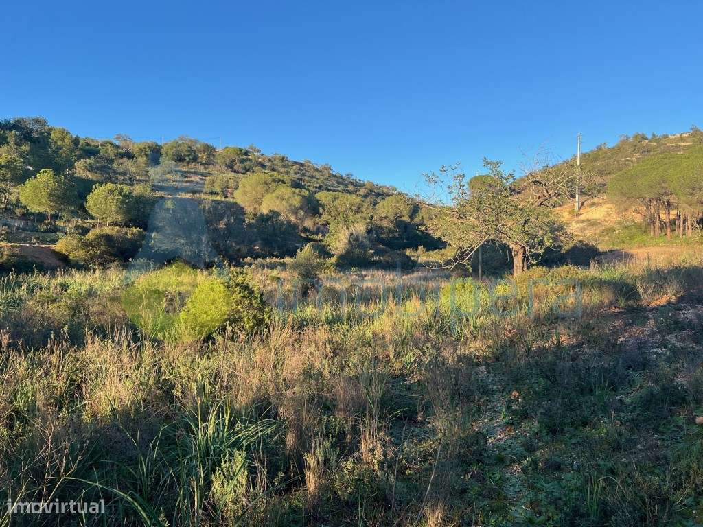 TERRENO VISTA FABULOSA A SUL - 5.240(m2) A 1KM DE TUNES GARE - Grande imagem: 5/33