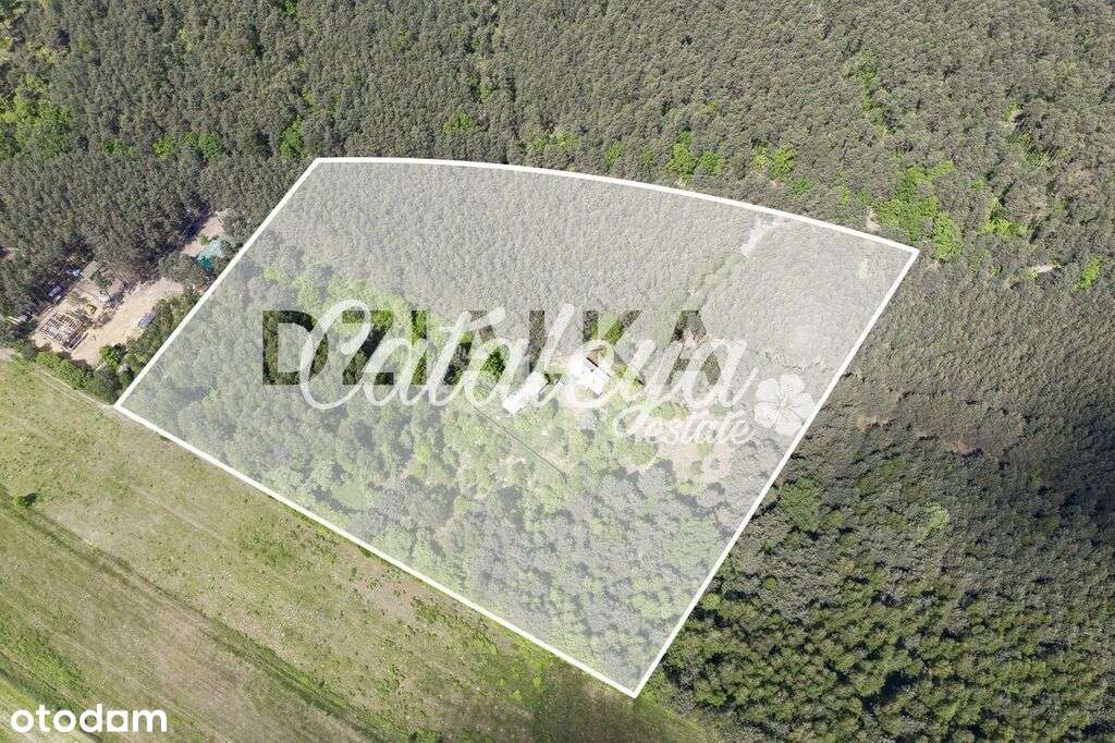 Siedliskowa/ blisko pola golfowego/ - Pełny obrazek: 5/20