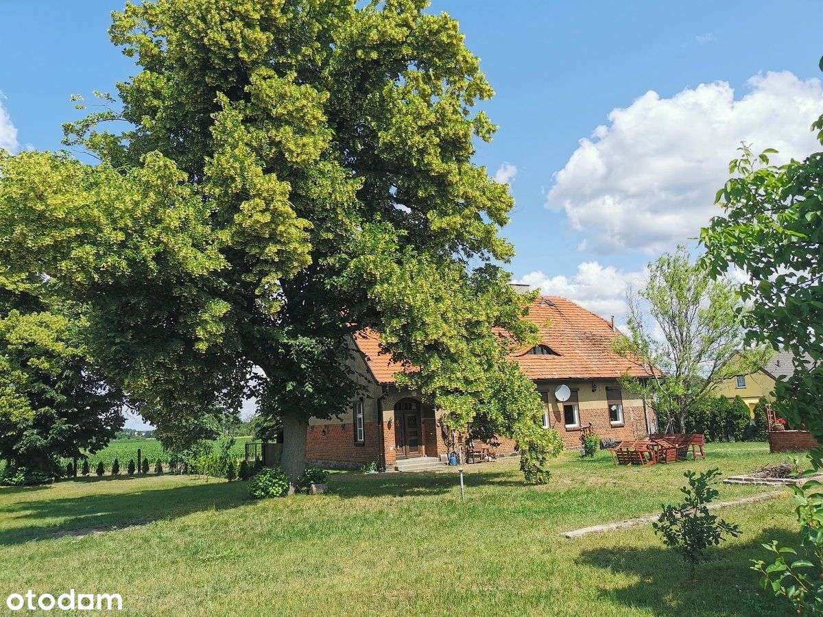 Klimatyczny dom z potencjałem i dużą działką-2