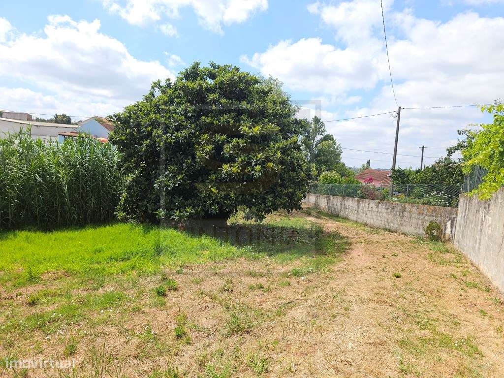 Moradia para Recuperar com Terreno de 1.600 m² na Ventosa, Cadaval-26
