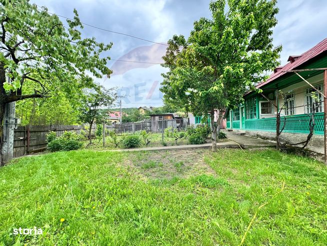 Casă traditionala cu potential de vânzare-HEMEIUS-4