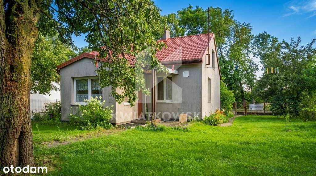 Działka 7200 m² z domem/ sadem,potencjał inwestycy-17