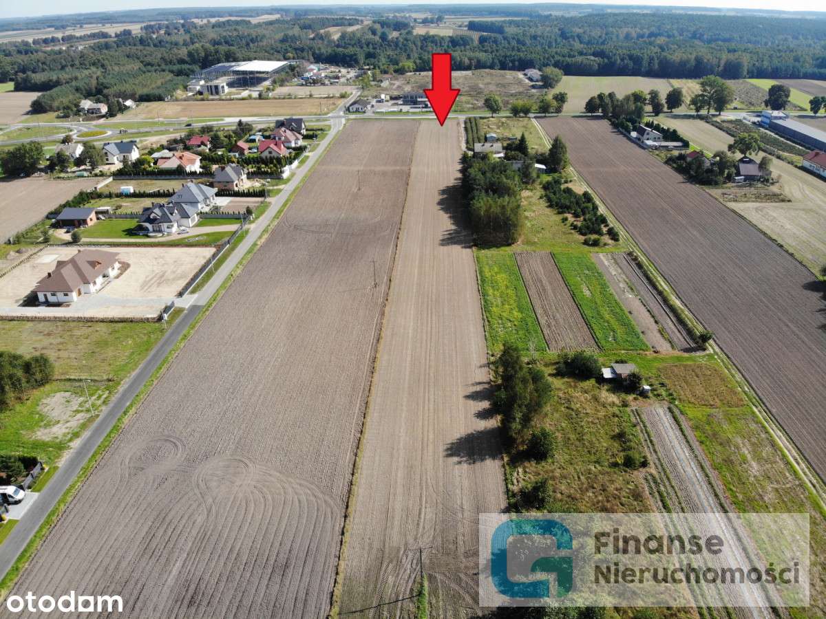 Działka rolno-budowlana w Nowym Kurzeszynie - Pełny obrazek: 4/7