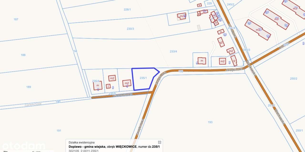 Malownicza działka nad Jeziorem Niepruszewskim - Pełny obrazek: 4/9