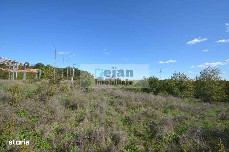 Tancabesti Stradal Dn1 Intravilan 4602mp, Dubla Deschidere 32/176/8 Ml - Imagine principală: 3/5