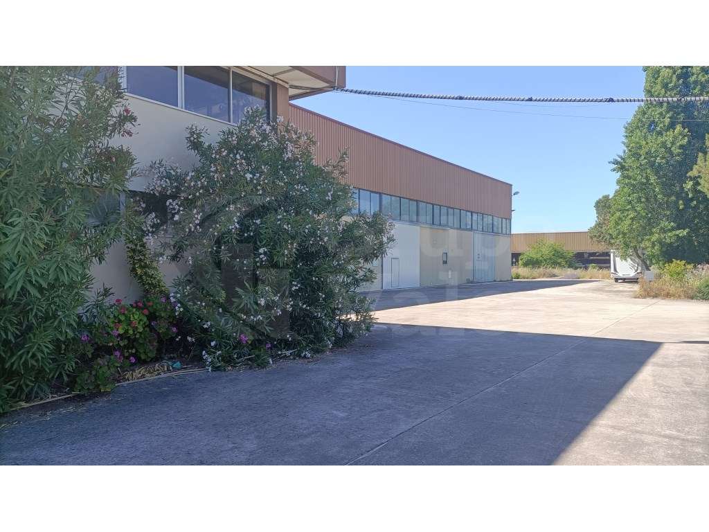 Sintra/RAL - Armazém junto à A16 com 3550 m2 em lote de 11 844 m2 - Grande imagem: 4/21