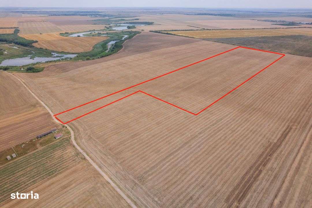 FRUMUSANI - PASAREA, TEREN 14420 MP, FRONT 40 M! - Imagine principală: 4/12