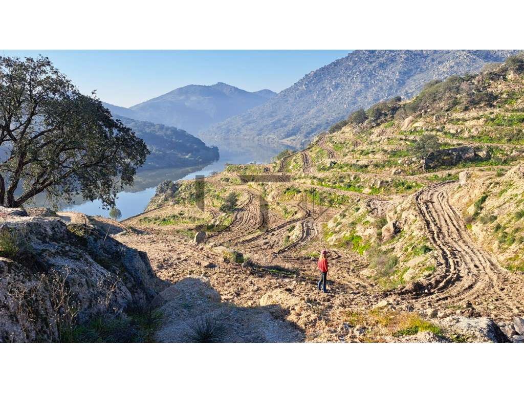 Quinta com 10 Ha, com Potencial Turístico e Residencial, para Venda... - Grande imagem: 5/31